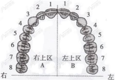 十字牙位图图片