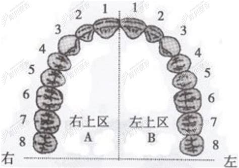 质量大品牌--雅皓义齿与你相约2018湖南口腔展！,湖南口腔医学大会暨牙科器械与耗材展览会