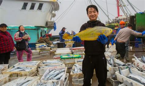 宁波渔民捕到7斤重大黄鱼4.2万元卖掉，当事人：每斤6000元数字吉利_王明明_顾客_小时
