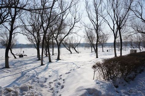 长春南湖公园，全国第二大城市公园，初冬时的景色依然美如画-搜狐大视野-搜狐新闻
