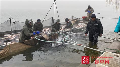查干湖冬季捕鱼收获数十万斤_钓鱼人必看