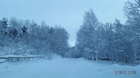 冷空气再“发威” 一组图带你看极寒天气下的独特景观-图片频道