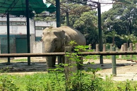 2021北京野生动物园五一开放时间-门票多少钱_旅泊网