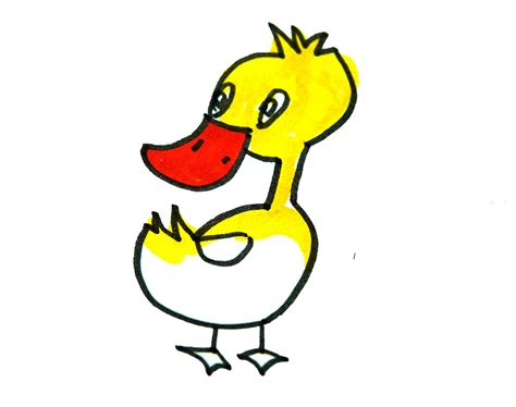 简单漂亮动物简笔画小鸭子的步骤图片 肉丁儿童网