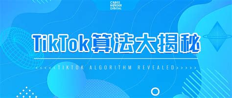 TikTok SEO：揭秘TikTok算法 - Cross Border Digital