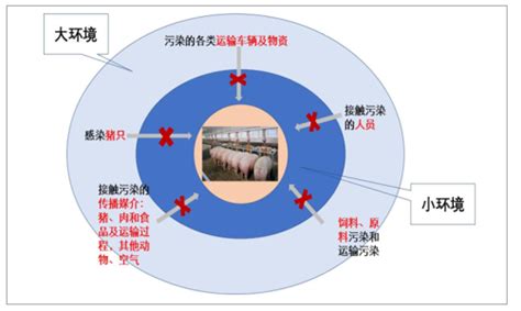2018年中国生猪养殖行业产业链与周期演变分析（图）_观研报告网