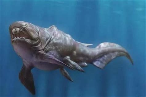 史前最恐怖的10种鱼：水滴鱼(被称为世界上最丑的生物)_奇趣解密网