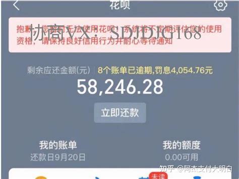 支付宝花呗秒回二维码，花呗3个点秒回款二维码