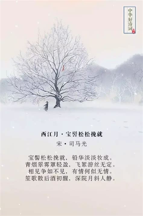 《情到深处人孤独：纳兰容若词传》封面设计_VIOLET映林-站酷ZCOOL