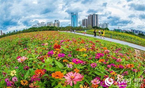 福建漳州探索“生态+”模式：让百姓看得见风景、摸得着幸福——人民政协网