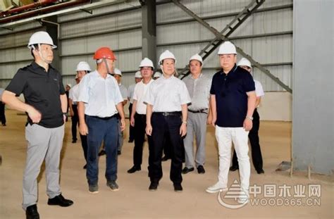 广西崇左市委书记：扎实推动木业企业满产达产，确保完成全年目标任务！-木业网