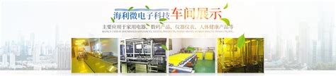 郴州市海利微电子科技有限公司_郴州电容式触摸屏|液晶模组