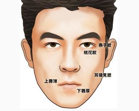 看面相大全图解图片