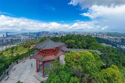 2020塘朗山-旅游攻略-门票-地址-问答-游记点评，深圳旅游旅游景点推荐-去哪儿攻略