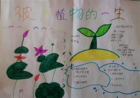 小学三年级描写植物仙人掌的作文300字