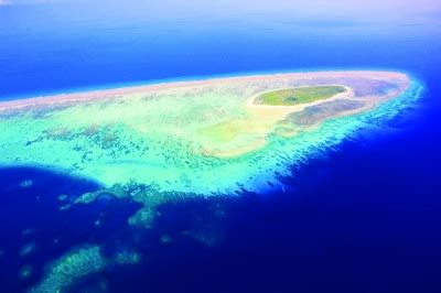 南沙群岛的资料图片（南沙群岛琼台礁，我国最南端的陆地岛屿，全岛只有一棵树） | 说明书网