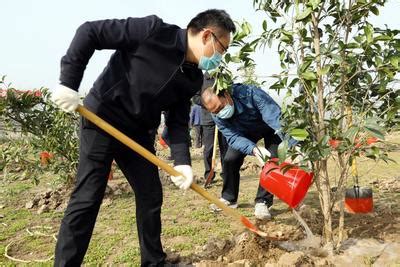 江苏扬州：义务植树 运河再添新绿-人民图片网