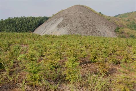 煤矸石山植被修复工程 - 河南华美生态环境科技股份有限公司