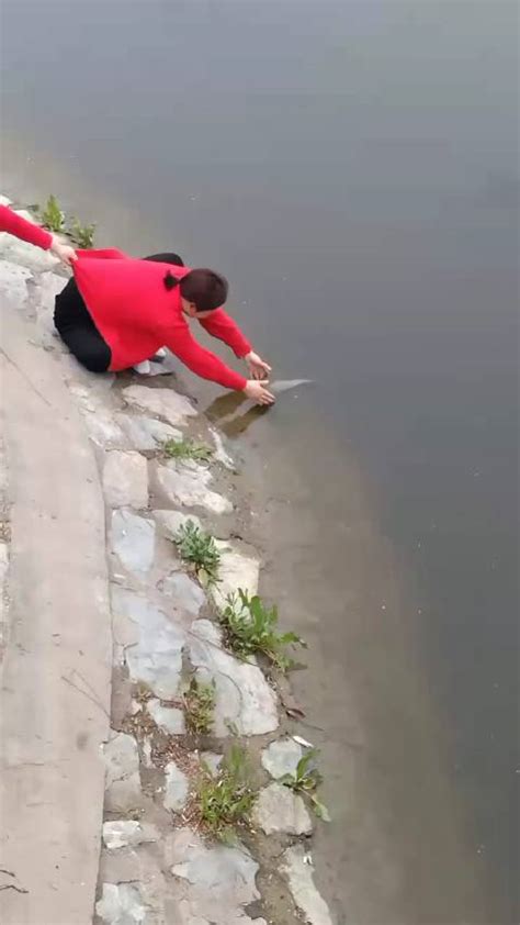 捡条鱼手机掉进河里，被放生爱好者吐槽活该！|鱼|吐槽_新浪新闻