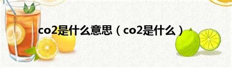 张瑜：一“碳”究竟 碳中和入门核心词典