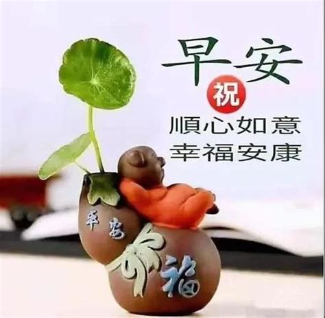 中午好的图片