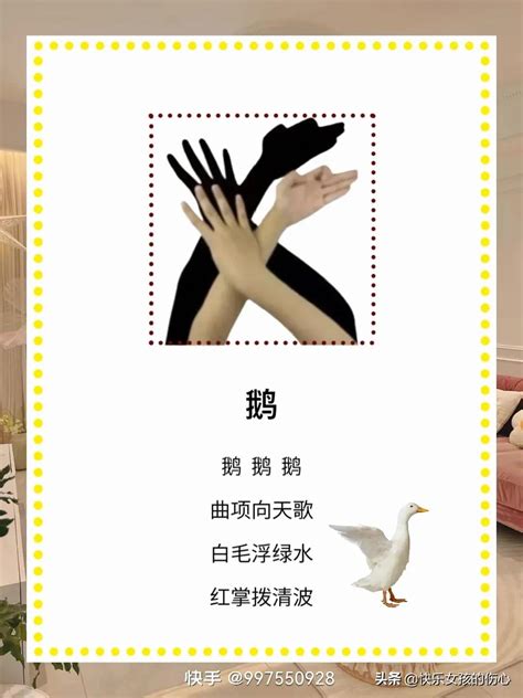 手影舞（睡前陪孩子玩这些手影，锻炼孩子想象力和灵活性） | 说明书网
