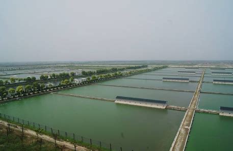 江苏省海洋水产研究所（1978年成立的省属科研机构）_尚可名片