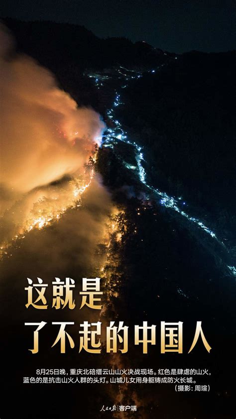 重庆山火，这个逆行火场36小时的“救火英雄”，让我看到了人性最丑陋的一幕|山火|火场|重庆市_新浪新闻