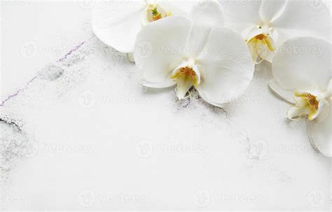 White orchid flowers 5023466 Stock Photo at Vecteezy