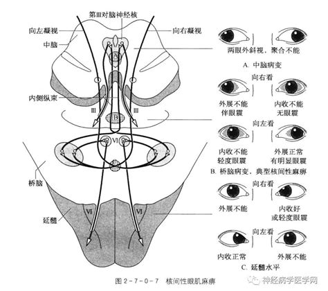 09年1月11日 的图像结果