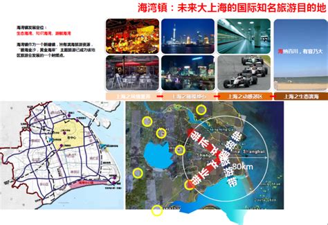 奏响绿色低碳高质量发展新序曲！奉贤区海湾镇打造上海首个全要素城镇型“低碳发展实践区”_政务要闻