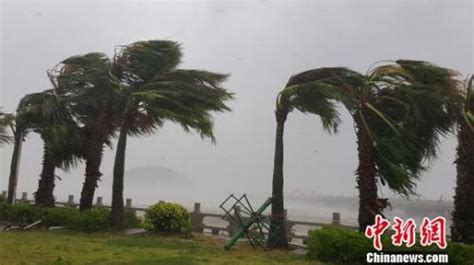 “天鸽”逼近掀狂风暴雨 珠海全市“四停”(图) - 国内动态 - 华声新闻 - 华声在线