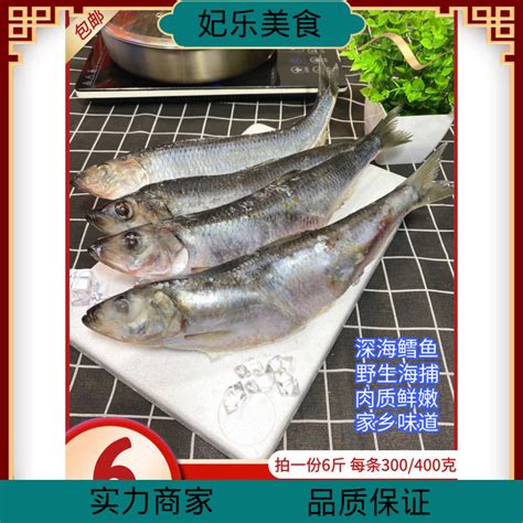 鲭鱼图片马鲛鱼,青花鱼,青占鱼_大山谷图库