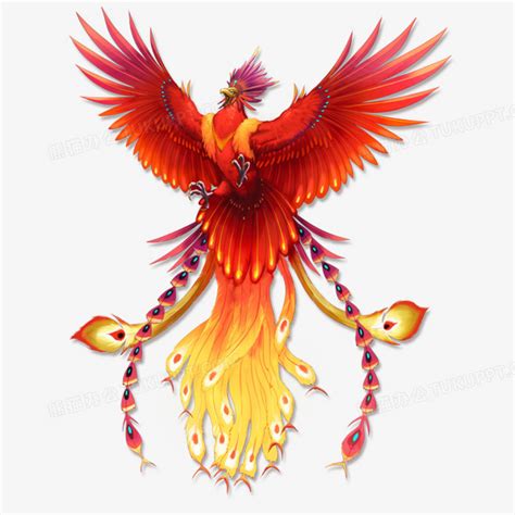 神话火焰凤凰翅膀飞翔图标PNG背景图片 中国风火凤凰图案插图素材-淘宝网