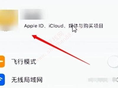苹果如何退订自动续费软件，在Apple ID设置中的订阅进行退订 — 创新科技网