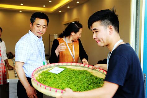 陕西省第三届“手工制茶”大赛将于3月25日在安康紫阳开赛 - 陕工网
