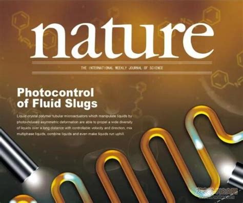 《科学月刊 Science monthly》杂志订阅|2024年期刊杂志|欢迎订阅杂志