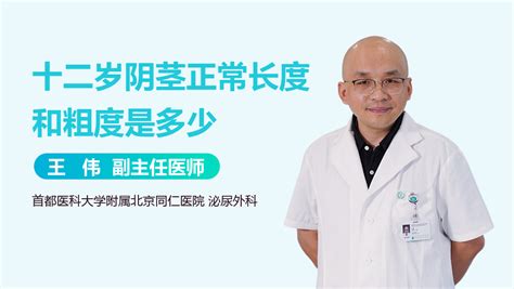 男性正常龟头图片