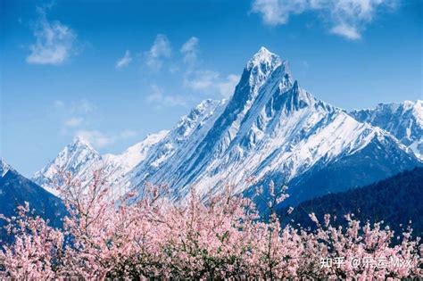 最佳观赏桃花是多久-林芝桃花节是什么时间-西藏的林芝桃花节玩什么-四川国旅「总社官网」