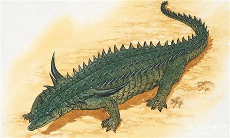 鳄鱼的祖先是什么，盾甲鳄鱼(三叠纪时期的爬行动物)— 爱才妹生活