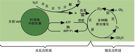 怎么理解超分子？ - 知乎