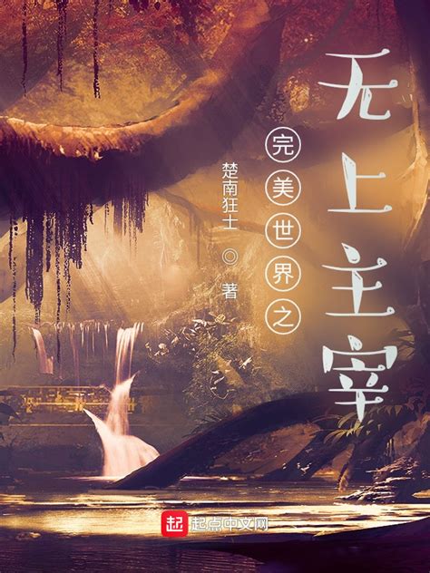 《完美世界之无上主宰》小说在线阅读-起点中文网