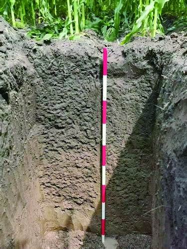 土质分类 - 农敢网