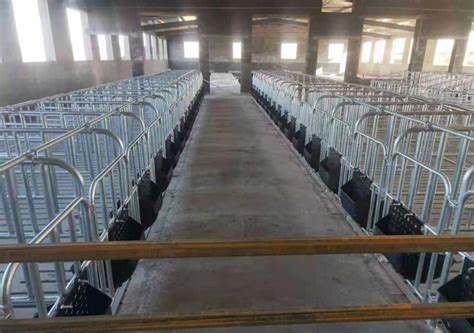 专业生产各种畜牧养殖大型牛羊饲料机械设备机器定制成套质量保证-阿里巴巴