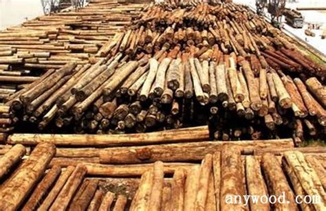 2020年中国木材产量为8727万立方米，进口数量远大于出口数量[图]_智研咨询