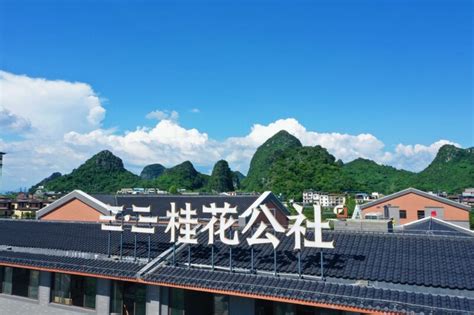 首个全国桂花产业创新中心落户桂林 - 信息快报 - 广西壮族自治区林业局网站