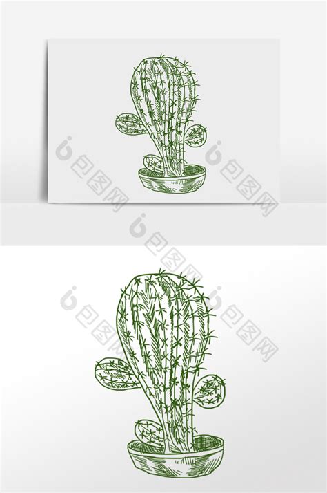 线描素描热带仙人球植物插画png下载-包图网