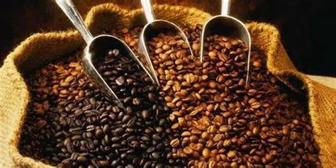 如何烘焙咖啡豆 - 咖啡知识 - 塞纳左岸咖啡官网