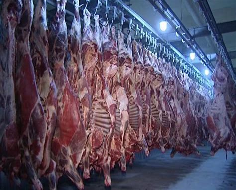 坪山区四号屠宰场正常生产，保证市场猪肉供应量充足_坪山新闻网