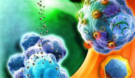 盘点：诱导多能干细胞（iPSC）研究进展 - 江西南昌综合细胞库—干细胞储存|免疫细胞储存|江西北科生物